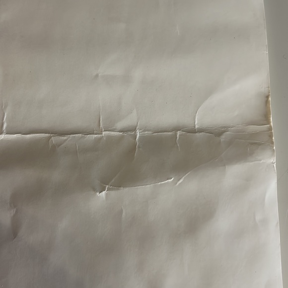 Rachel Ballinger Signed Poster - Picture 4 of 6